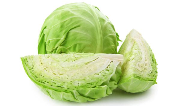 Cabbage Green Each