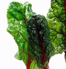 Chard RED