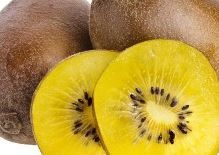 Kiwifruit Gold NZ