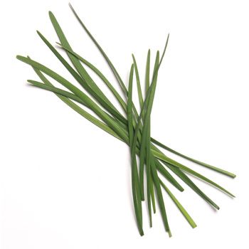 Garlic Chives/chinese Chives