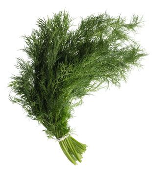 Dill 100GM Pack
