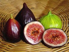 Figs Fresh Each