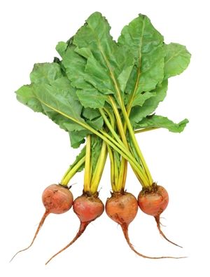 Beetroot Gold Baby