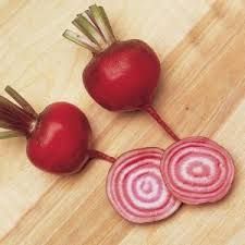 Beetroot Chioggia Md-lge