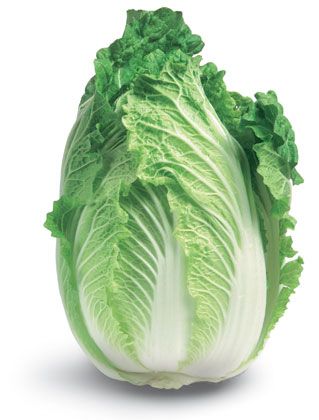Cabbage Chinese/wong BOK