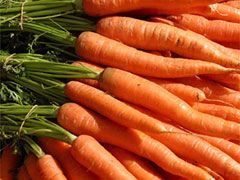 Carrots Orange Baby