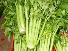 Celery Loose BCH