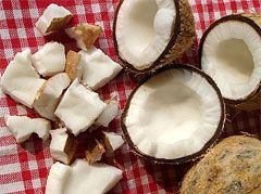 Coconut Fresh Drinking