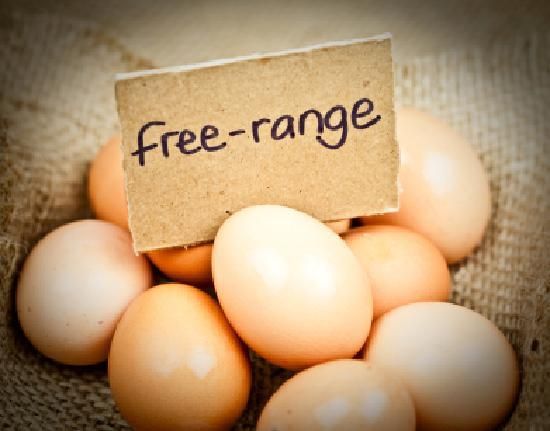 Eggs Free Range Tray
