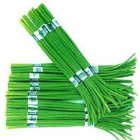 Garlic Sprouts Chinese Imported