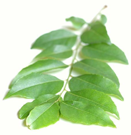Curry Leaves Pack
