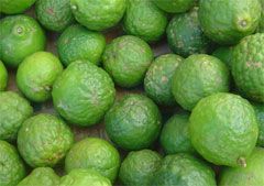 Kafir Lime Leaves Kilo