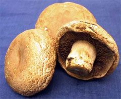 Mushrooms PORTABELLO-TAG1