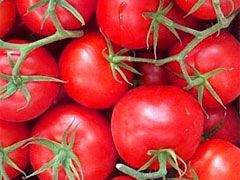 Tomatoes Small Vine Campari-kg