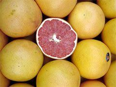 Grapefruit Ruby Imported