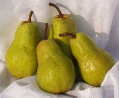 Pears Green NZ