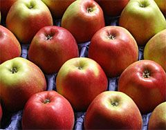 Apples Small RED 150-165ct