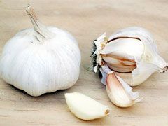 Garlic NZ