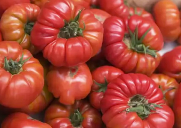 Tomatoes Heirloom Large