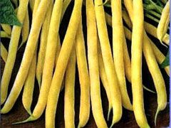 Beans Yellow Butter NZ