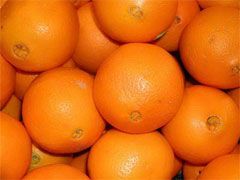 Oranges NZ