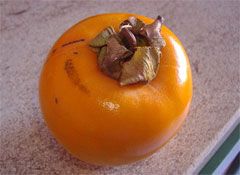 Persimmons NZ