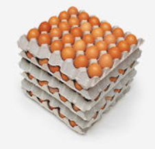 Eggs Size 6
