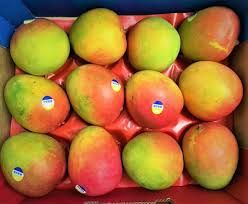 Mangoes AUS R2E2