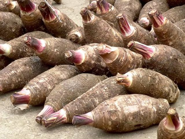 Taro Fresh