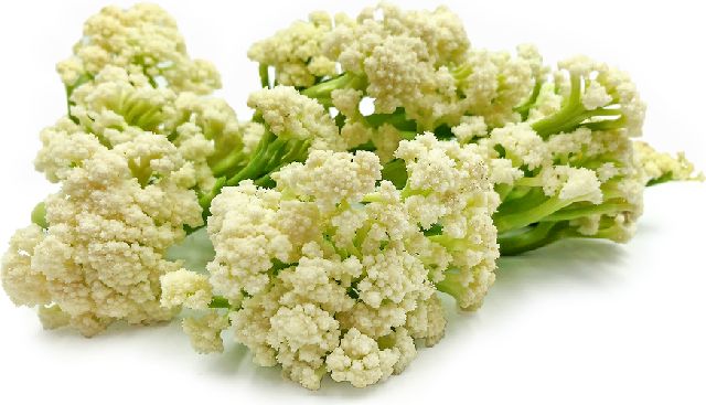 Caulilini Stems Pack