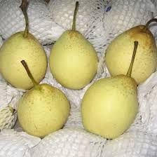 Pears YA Chinese
