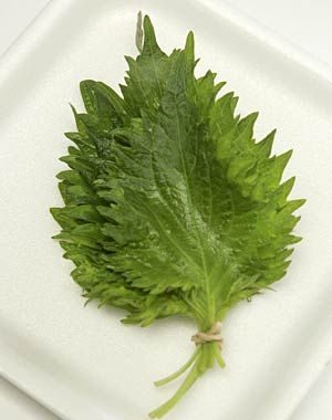 Perilla Green (shiso ) 50GM Pack