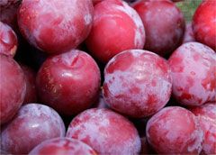 Plums NZ