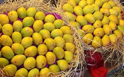 Mangoes Imported Each