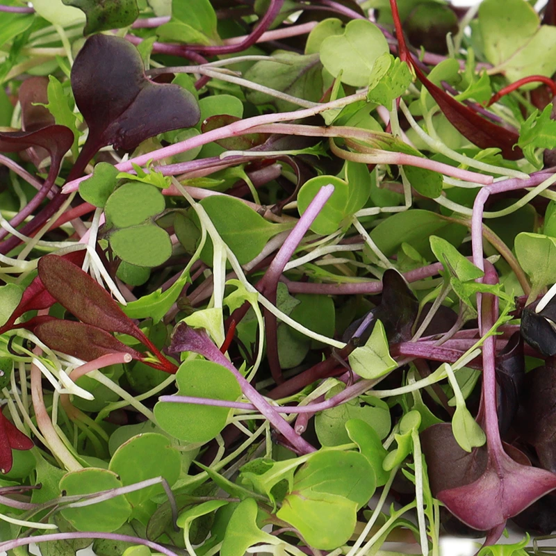 Micro Green Combi 50GM