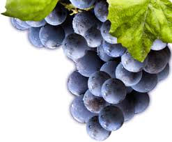 Grapes Black Seedless Imported